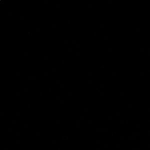 Meet your Posher, Savannah